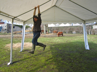 Sterke, verzinkte stalen buizen en koppelstukken