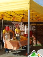 8x4 accordeontent