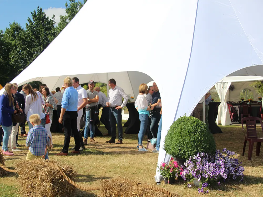 Witte stertent op terrein