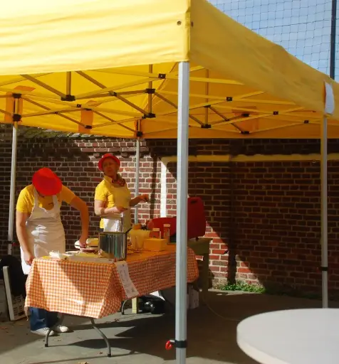 Einde reeks: vouwtent 4 x 8 m Solid 50 geel